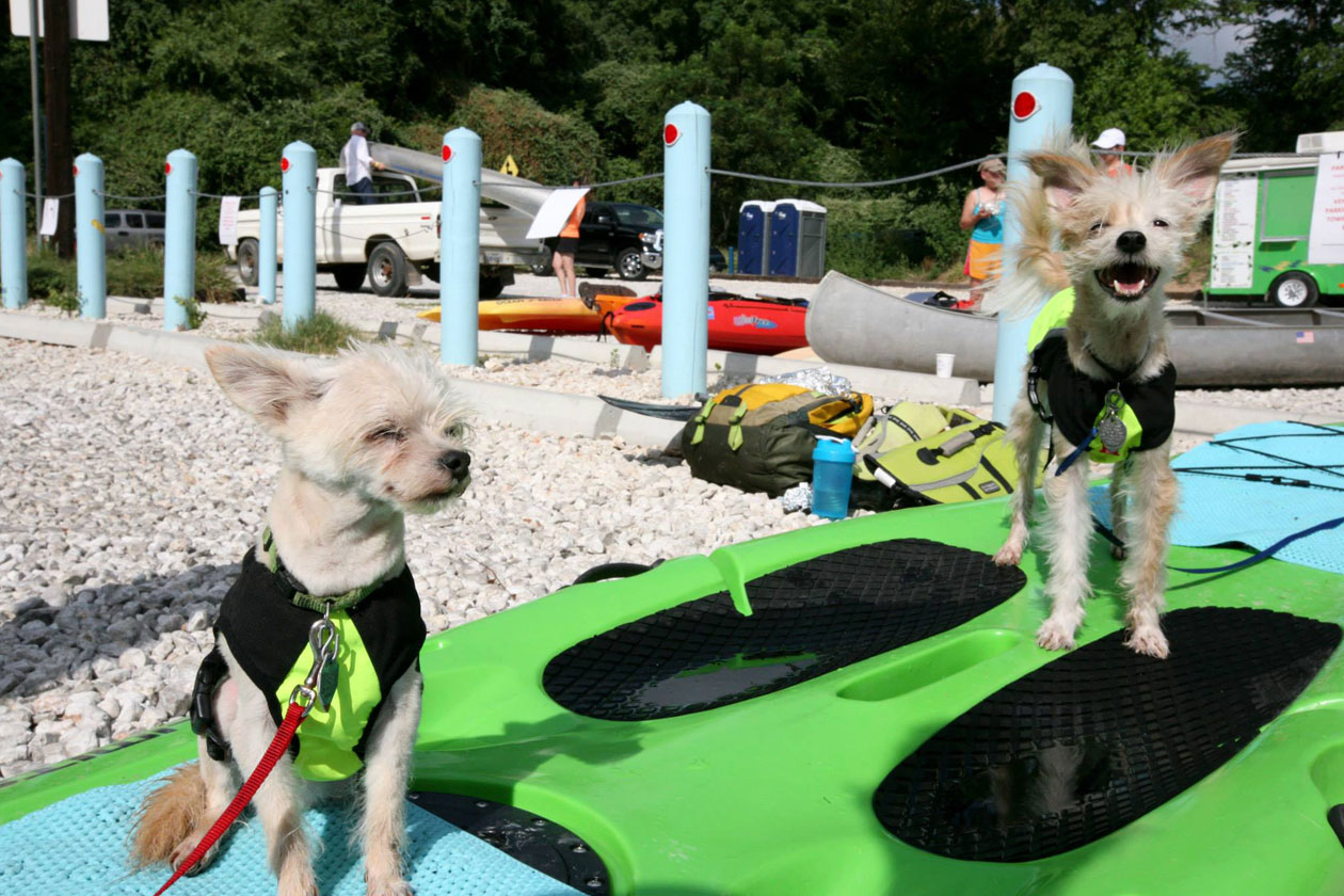 Paddle for Puppies Austin TX